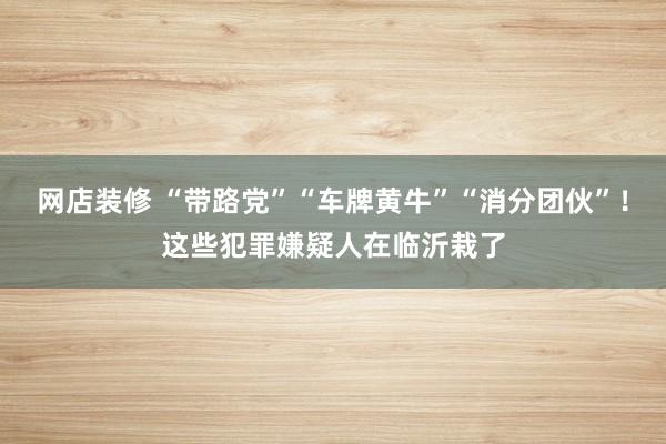 网店装修 “带路党”“车牌黄牛”“消分团伙”！这些犯罪嫌疑人在临沂栽了