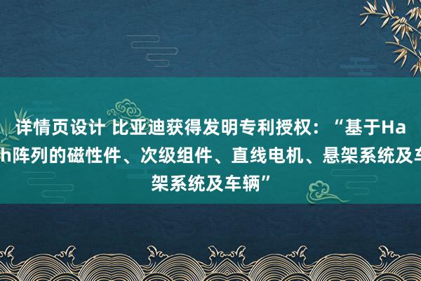 详情页设计 比亚迪获得发明专利授权：“基于Halbach阵列的磁性件、次级组件、直线电机、悬架系统及车辆”